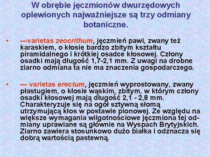 W obrębie jęczmionów dwurzędowych oplewionych najważniejsze są trzy odmiany botaniczne. • —varietas zeocrithum, jęczmień