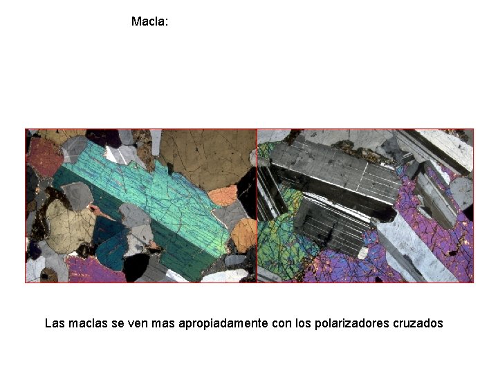 Macla: Las maclas se ven mas apropiadamente con los polarizadores cruzados 