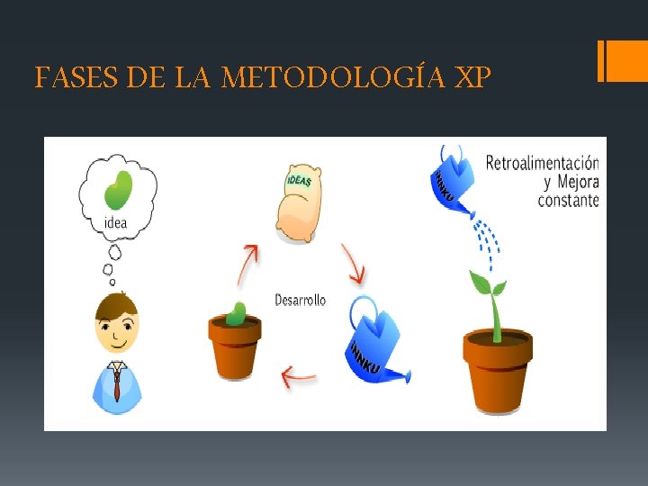 FASES DE LA METODOLOGÍA XP 