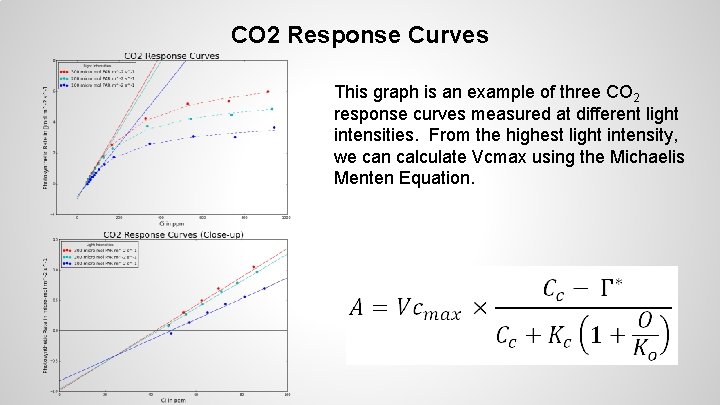 CO 2 Response Curves This graph is an example of three CO 2 response