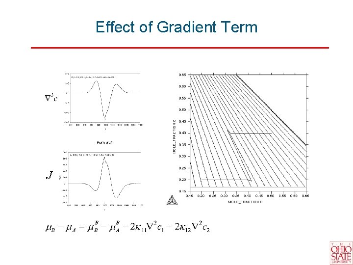 Effect of Gradient Term J 