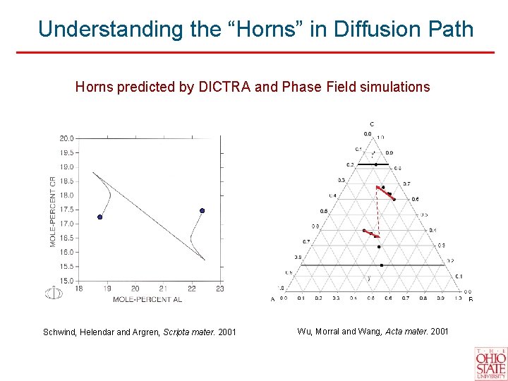 Understanding the “Horns” in Diffusion Path Horns predicted by DICTRA and Phase Field simulations