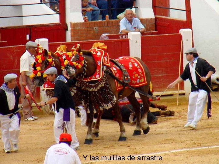 Y las mulillas de arrastre. 