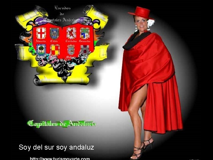 Soy del sur soy andaluz 