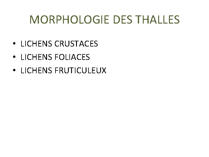 MORPHOLOGIE DES THALLES • LICHENS CRUSTACES • LICHENS FOLIACES • LICHENS FRUTICULEUX 