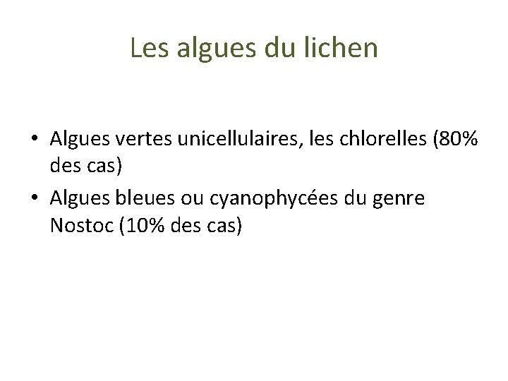 Les algues du lichen • Algues vertes unicellulaires, les chlorelles (80% des cas) •