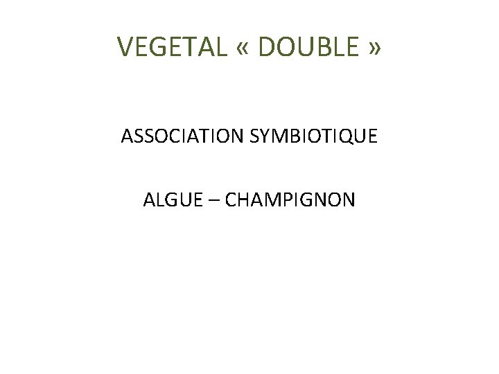 VEGETAL « DOUBLE » ASSOCIATION SYMBIOTIQUE ALGUE – CHAMPIGNON 