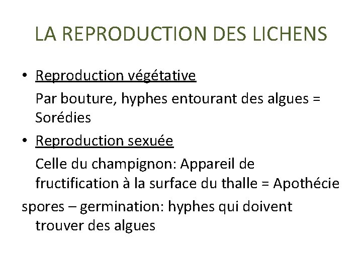 LA REPRODUCTION DES LICHENS • Reproduction végétative Par bouture, hyphes entourant des algues =