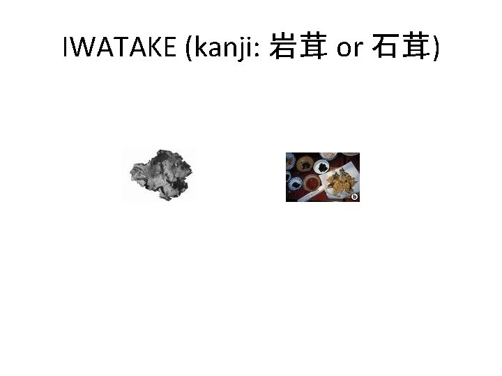 IWATAKE (kanji: 岩茸 or 石茸) 