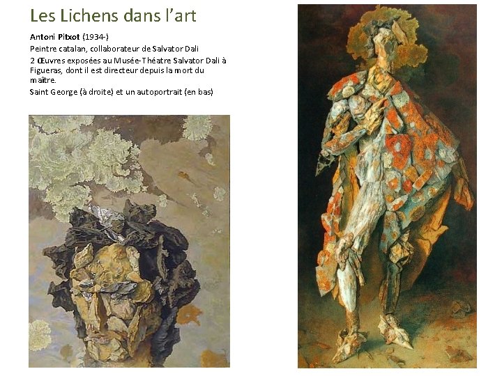 Les Lichens dans l’art Antoni Pitxot (1934 -) Peintre catalan, collaborateur de Salvator Dali