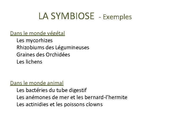 LA SYMBIOSE - Exemples Dans le monde végétal Les mycorhizes Rhizobiums des Légumineuses Graines