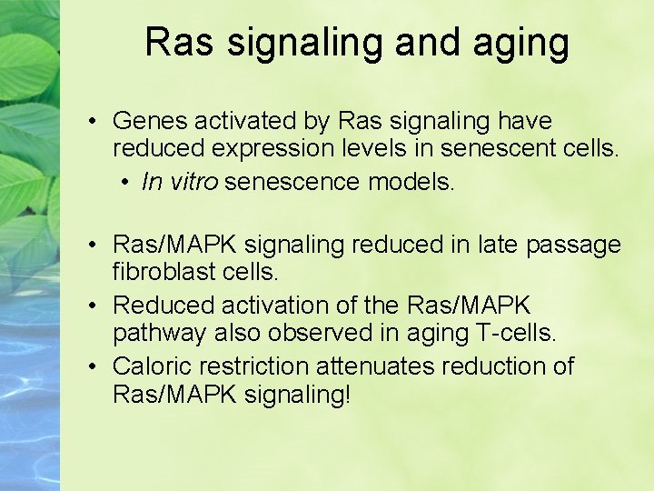 Ras signaling and aging • Genes activated by Ras signaling have reduced expression levels