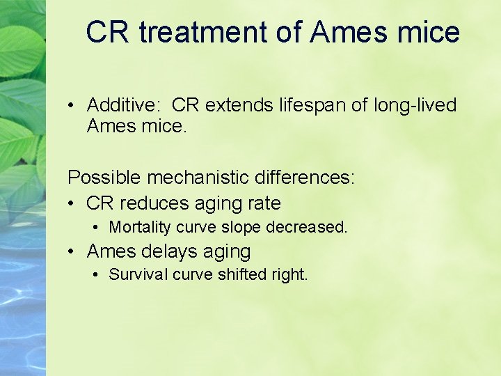 CR treatment of Ames mice • Additive: CR extends lifespan of long-lived Ames mice.