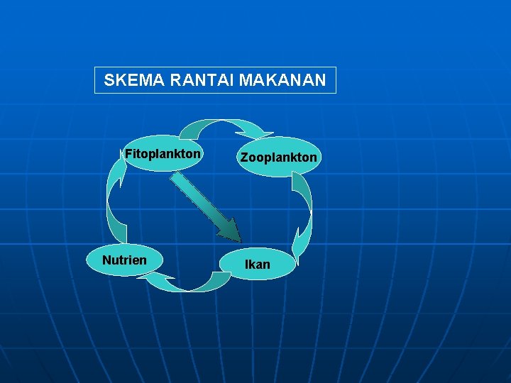 SKEMA RANTAI MAKANAN Fitoplankton Nutrien Zooplankton Ikan 