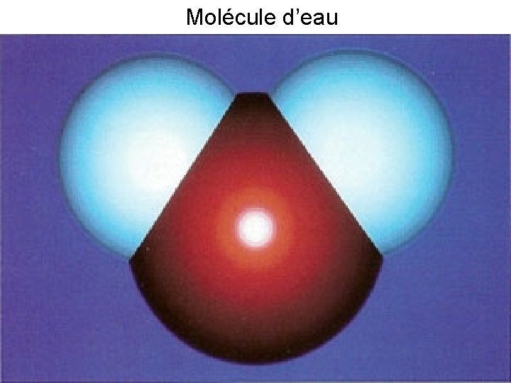 Molécule d’eau 