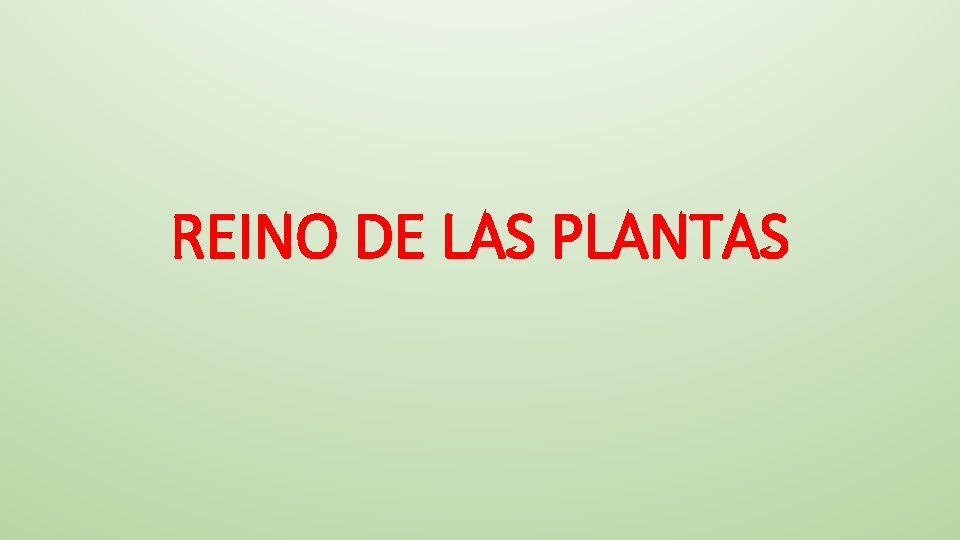 REINO DE LAS PLANTAS 