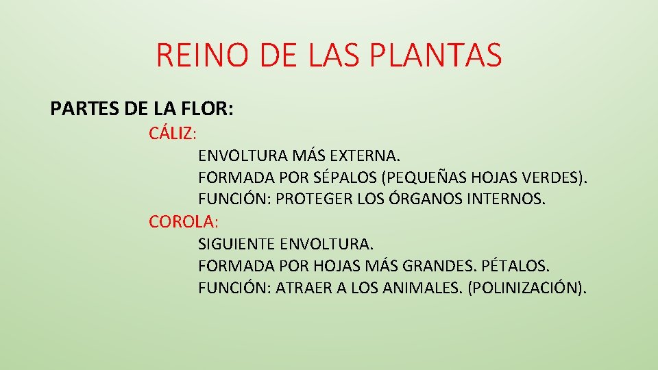 REINO DE LAS PLANTAS PARTES DE LA FLOR: CÁLIZ: ENVOLTURA MÁS EXTERNA. FORMADA POR