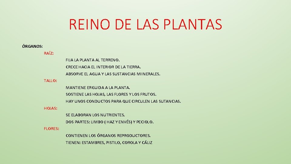 REINO DE LAS PLANTAS ÓRGANOS: RAÍZ: FIJA LA PLANTA AL TERRENO. CRECE HACIA EL