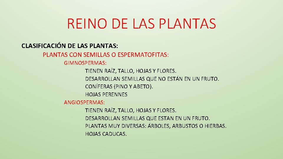 REINO DE LAS PLANTAS CLASIFICACIÓN DE LAS PLANTAS: PLANTAS CON SEMILLAS O ESPERMATOFITAS: GIMNOSPERMAS: