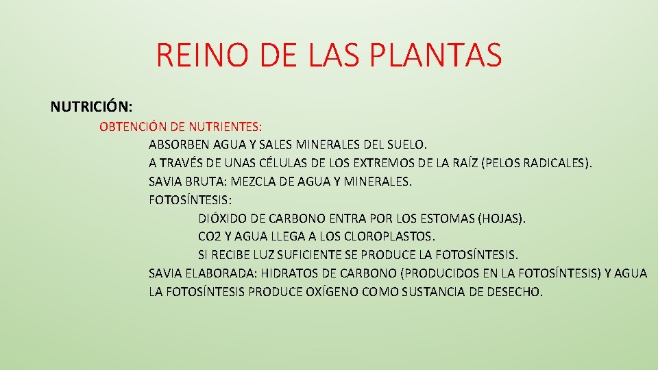 REINO DE LAS PLANTAS NUTRICIÓN: OBTENCIÓN DE NUTRIENTES: ABSORBEN AGUA Y SALES MINERALES DEL