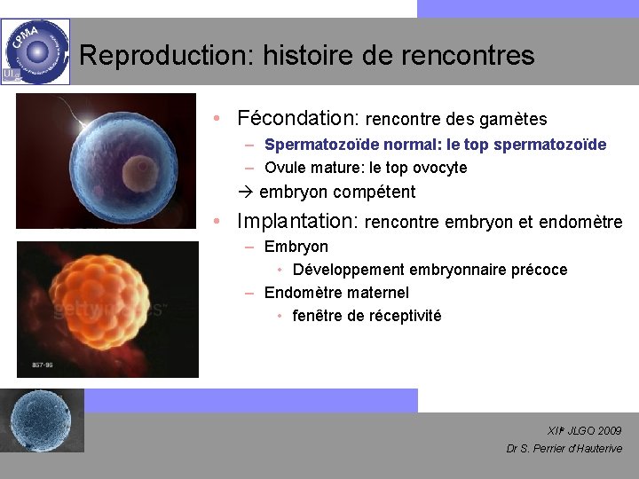 Reproduction: histoire de rencontres • Fécondation: rencontre des gamètes – Spermatozoïde normal: le top