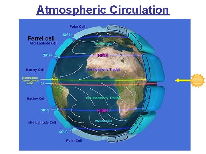 Atmospheric Circulation Ferrel cell 