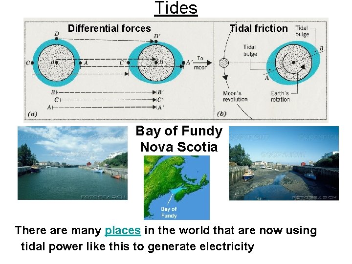 Tides Differential forces Tidal friction Bay of Fundy Nova Scotia There are many places