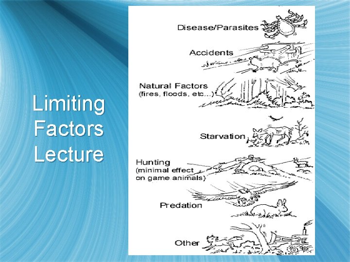 Limiting Factors Lecture 