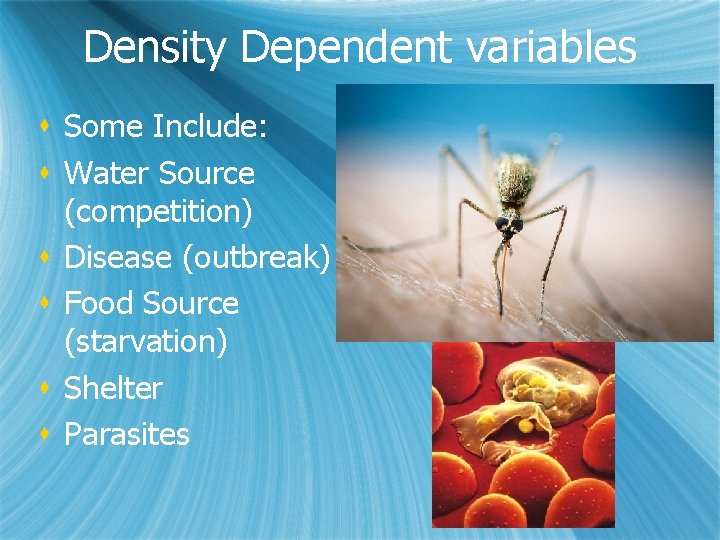 Density Dependent variables s Some Include: s Water Source (competition) s Disease (outbreak) s