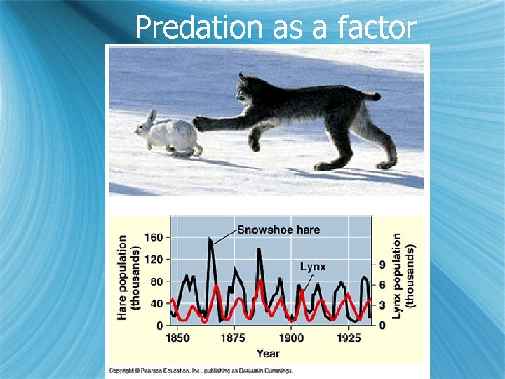 Predation as a factor 