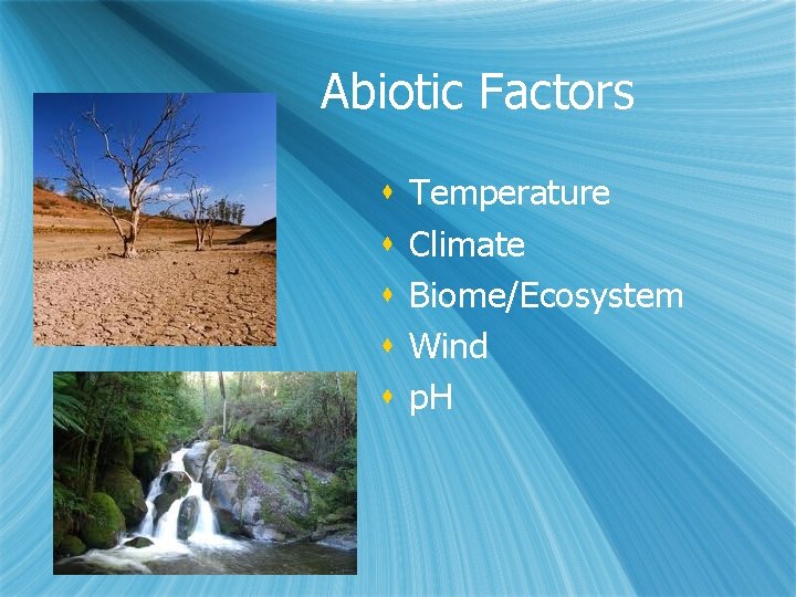 Abiotic Factors s s Temperature Climate Biome/Ecosystem Wind p. H 