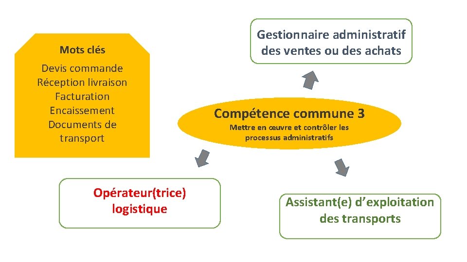 Mots clés Devis commande Réception livraison Facturation Encaissement Documents de transport Opérateur(trice) logistique Gestionnaire