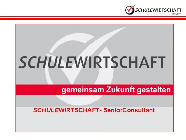 SCHULEWIRTSCHAFT- Senior. Consultant 1 