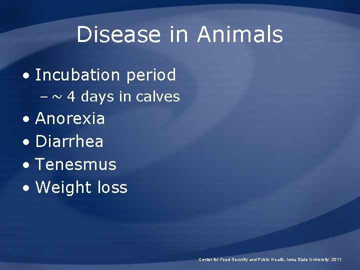 Disease in Animals • Incubation period – ~ 4 days in calves • Anorexia