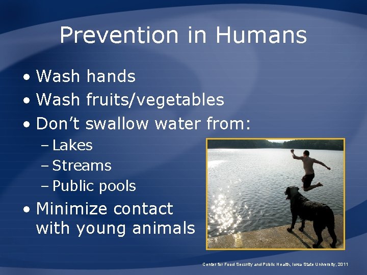 Prevention in Humans • Wash hands • Wash fruits/vegetables • Don’t swallow water from: