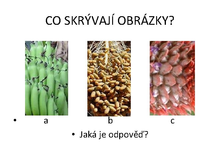 CO SKRÝVAJÍ OBRÁZKY? • a b c • Jaká je odpověď? 
