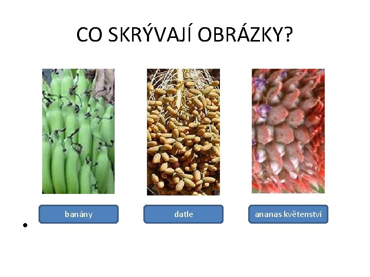 CO SKRÝVAJÍ OBRÁZKY? banány datle ananas květenství • 