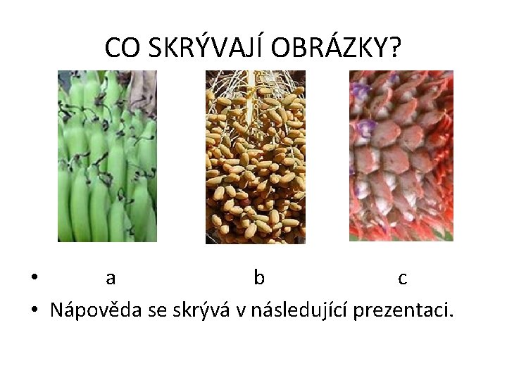 CO SKRÝVAJÍ OBRÁZKY? • a b c • Nápověda se skrývá v následující prezentaci.