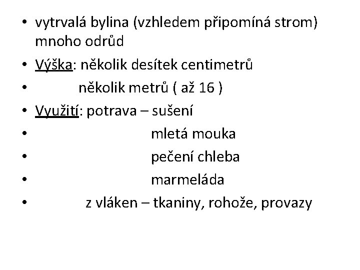  • vytrvalá bylina (vzhledem připomíná strom) mnoho odrůd • Výška: několik desítek centimetrů