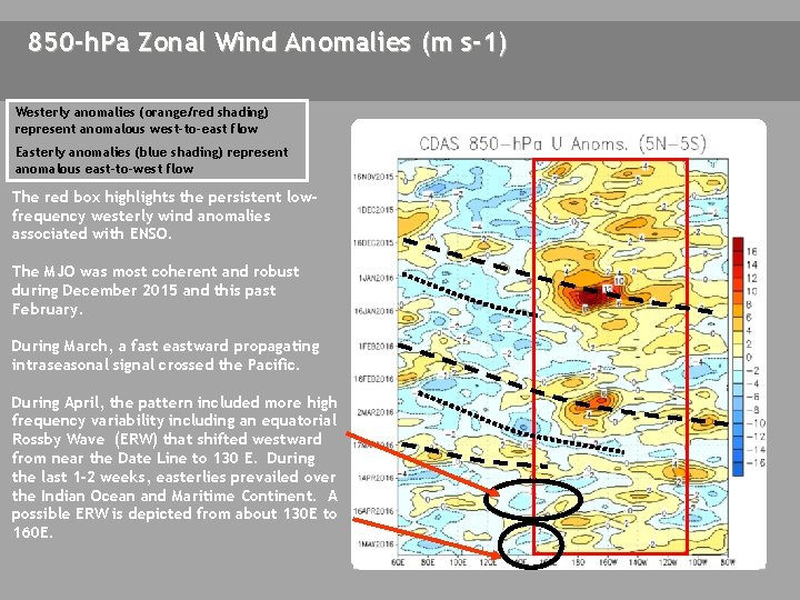 850 -h. Pa Zonal Wind Anomalies (m s-1) Westerly anomalies (orange/red shading) represent anomalous