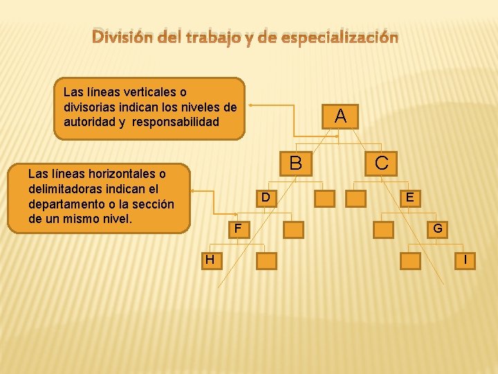 División del trabajo y de especialización Las líneas verticales o indican los tiposlos o