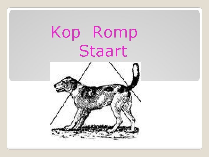 Kop Romp Staart 