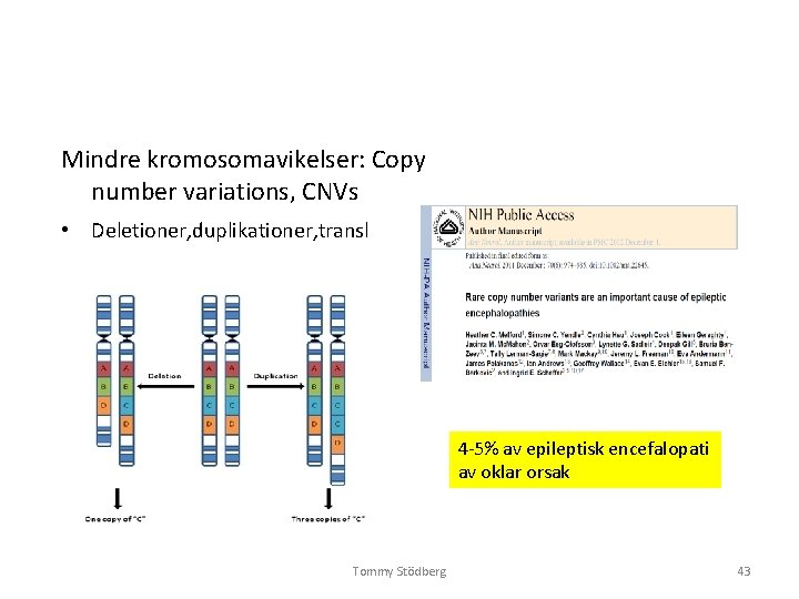 Mindre kromosomavikelser: Copy number variations, CNVs • Deletioner, duplikationer, transl 4 -5% av epileptisk Mindre kromosomavikelser: Copy number variations, CNVs • Deletioner, duplikationer, transl 4 -5% av epileptisk