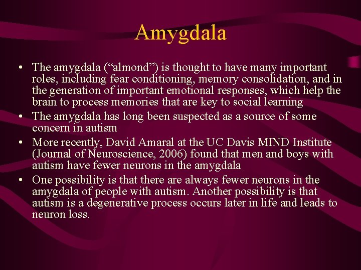 Amygdala • The amygdala (“almond”) is thought to have many important roles, including fear
