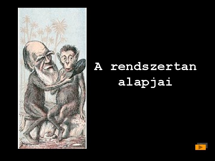A rendszertan alapjai 