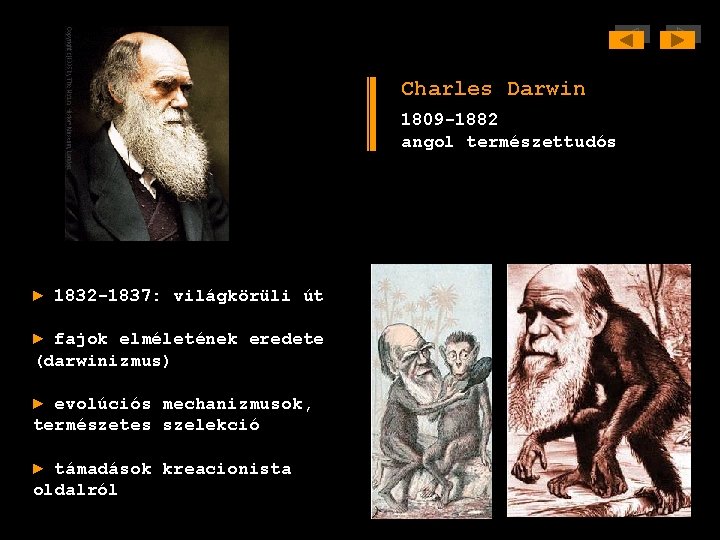 Charles Darwin 1809 -1882 angol természettudós ► 1832 -1837: világkörüli út ► fajok elméletének