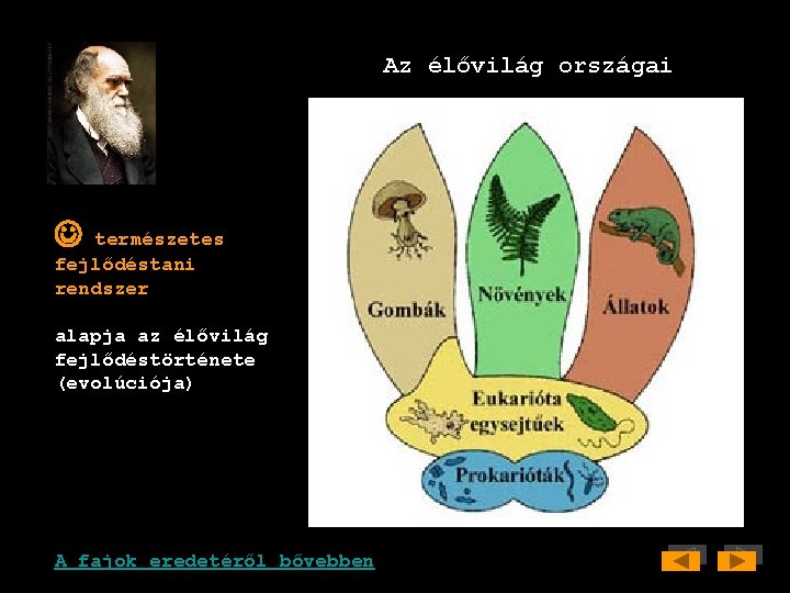 Az élővilág országai természetes fejlődéstani rendszer alapja az élővilág fejlődéstörténete (evolúciója) A fajok eredetéről