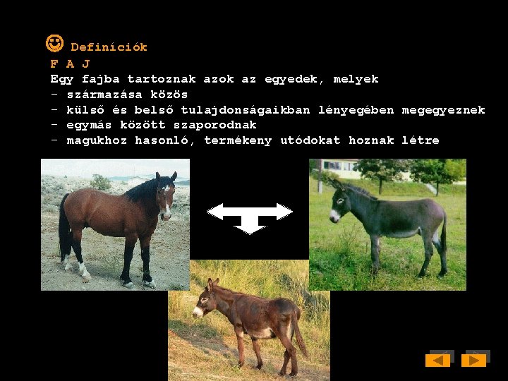  Definíciók F A J Egy fajba tartoznak azok az egyedek, melyek - származása