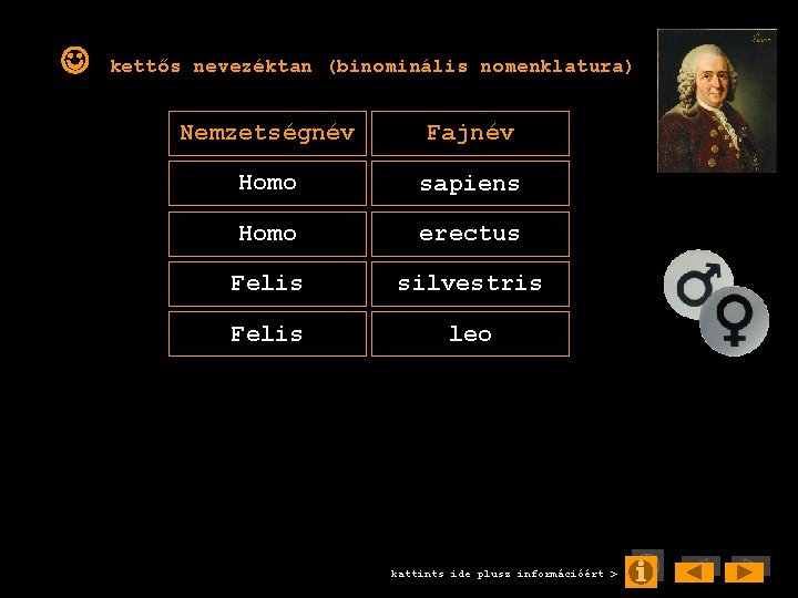  kettős nevezéktan (binominális nomenklatura) Nemzetségnév Fajnév Homo sapiens Homo erectus Felis silvestris Felis