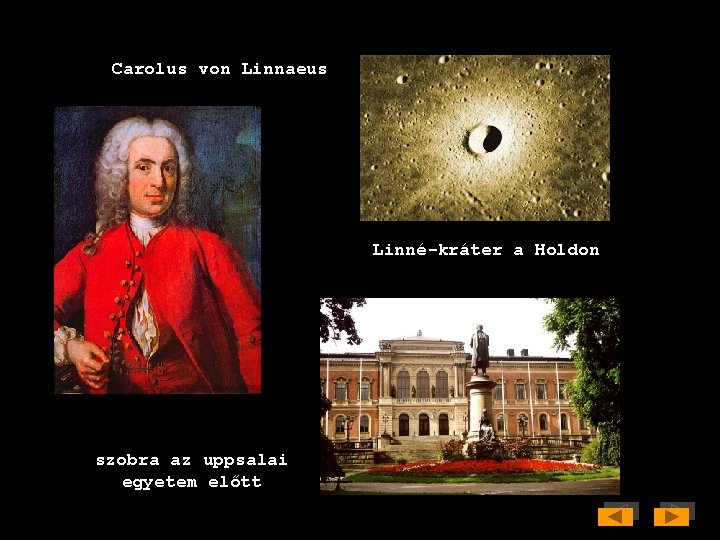 Carolus von Linnaeus Linné-kráter a Holdon szobra az uppsalai egyetem előtt 